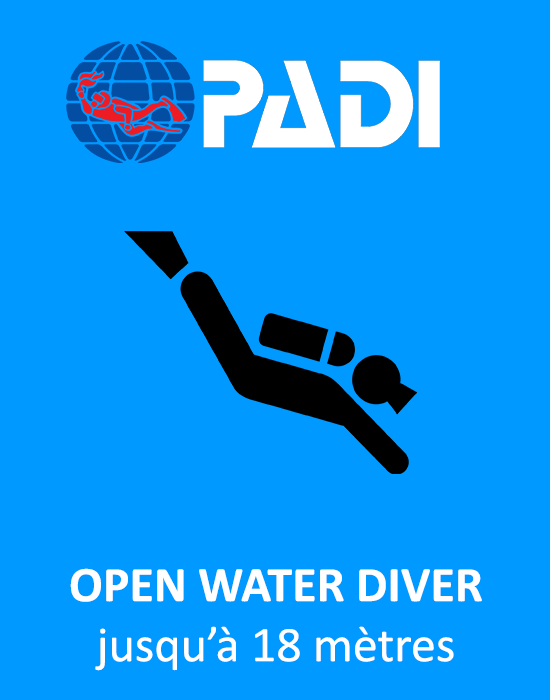 Open Water PADI avec Bellevue Plongée 